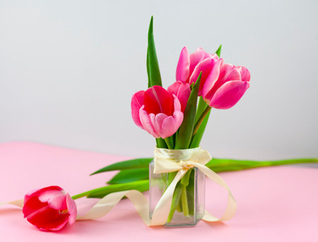 Bouquet of pink tulips in a vase isolated on a light background.の写真素材