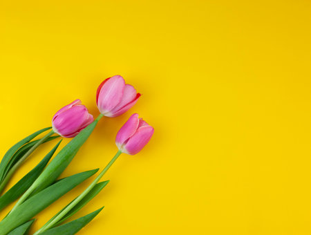 pink tulips on a yellow background. bouquet of pink tulips with copy space. Mothers Day. Arrangement of flowers. Floral spring background. top view.の写真素材