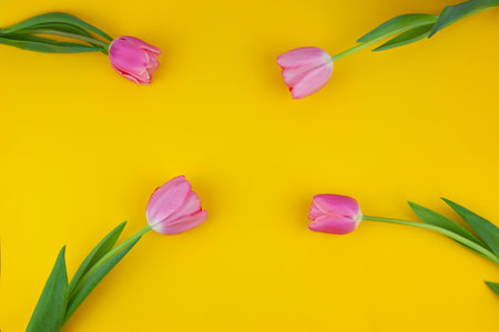 pink tulips on a yellow background. bouquet of pink tulips with copy space. Mothers Day. Arrangement of flowers. Floral spring background. top view.の写真素材