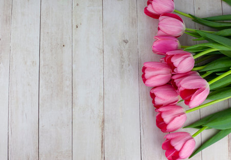 beautiful tulips on wooden background. Place for textの写真素材
