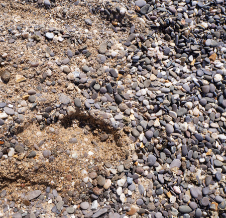 Beach pebbles on wet sand from large stones and a human footprintの写真素材