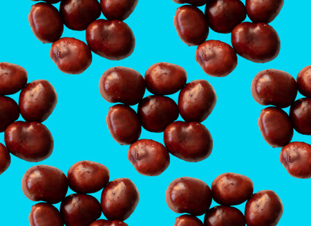 Solid chestnuts pattern on blueの写真素材