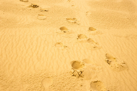 beautiful background. sand. footprints in the sand. patterns in the sand