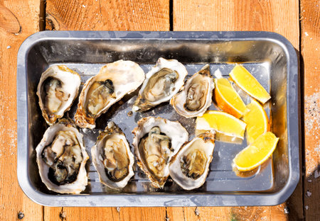 open oysters. ready to eat with lemonの写真素材