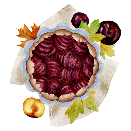 Watercolor plum pie and plums on a white background. Separate illustrations for design.の写真素材