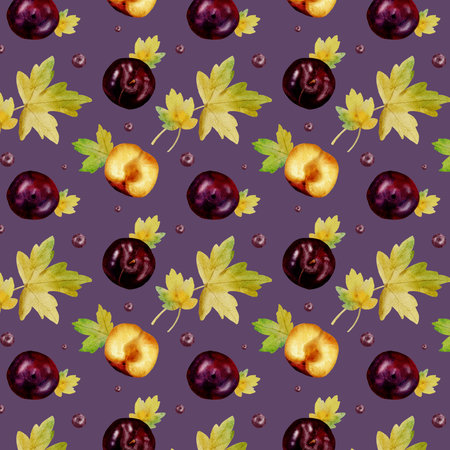Seamless watercolor pattern with bright autumn leaves and plums on a lilac backgroundの写真素材