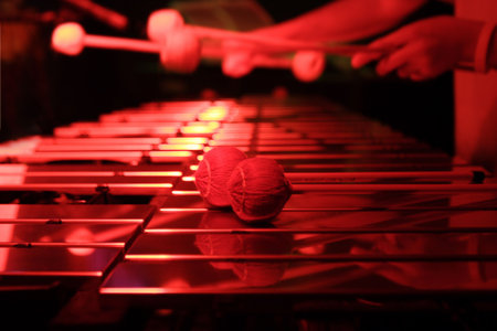 Vibraphoneの写真素材