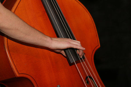 Double bassの写真素材