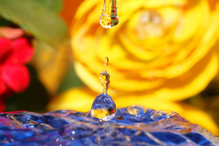 Water Drops close-upの写真素材