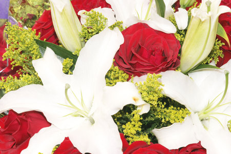 Flowerの写真素材