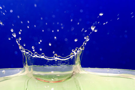 Water dropsの写真素材