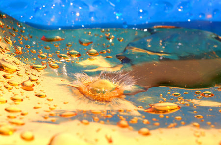 Water drops