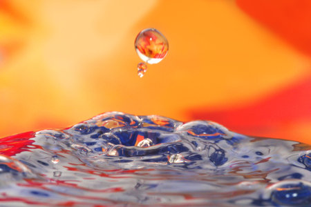 Water dropsの写真素材