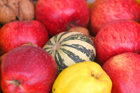 Apple, Pumpkinの写真素材