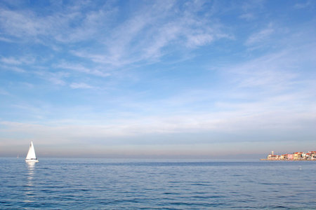 Piranの写真素材