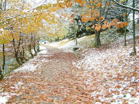 Beautiful Winterの写真素材