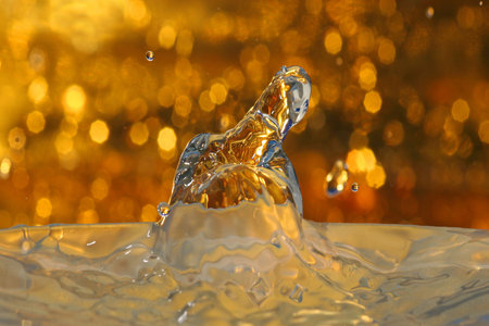 Water Dropsの写真素材