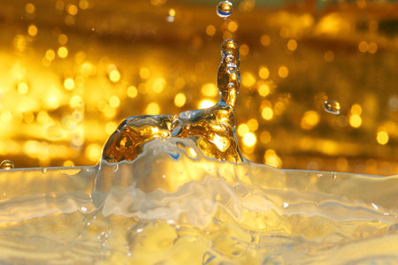 Water Dropsの写真素材