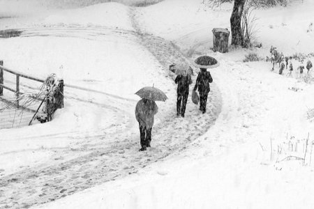 Snow fall