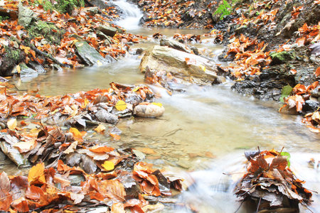 Mountain streamの写真素材