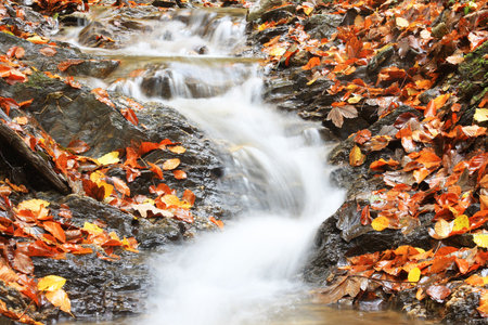 Mountain streamの写真素材