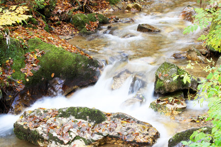 Mountain stream