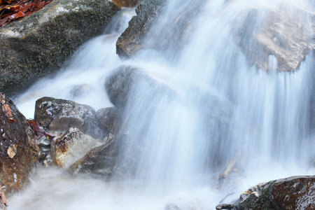 Mountain stream