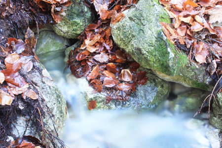 Water springの写真素材