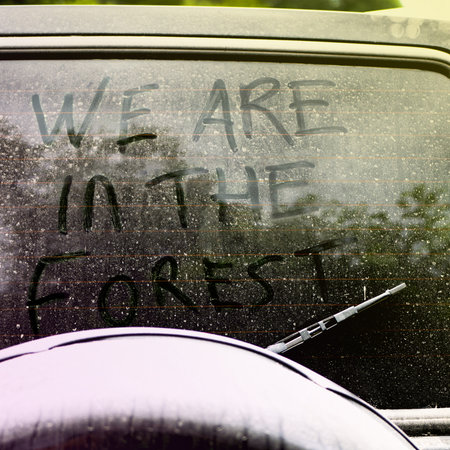 Inscription on the dirty and dusty glass of the car "We are in the forest". Travel and hiking concept.の写真素材