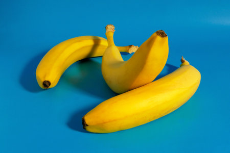 Three bananas on blue background, colorful fruit composition of fresh yellow bananas.の写真素材