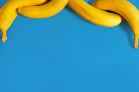Yellow bananas on blue background with copy space.の写真素材