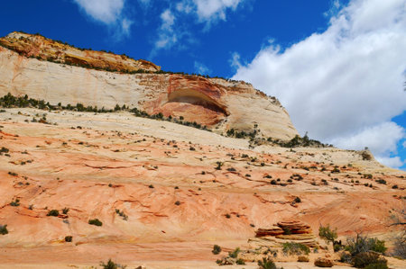 Zion National Park, Utah, USの写真素材