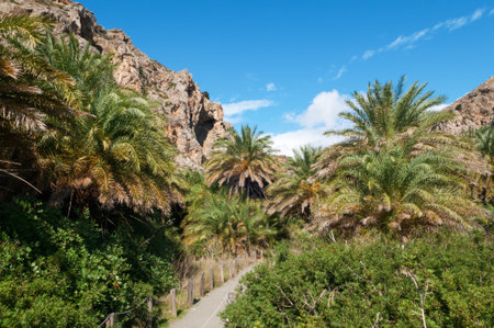 Preveli Palm beach at Libyan sea, Crete, Greeceの写真素材