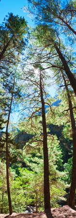 The Samariá Gorge is a National Park of Greece on the island of Crete - a major tourist attraction of the island - and a World's Biosphere Reserve.の写真素材