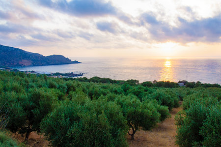 Wide view of a Cretan landscape, island of Crete,  Greeceの写真素材