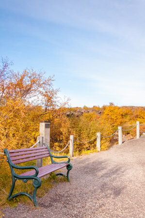 Wooden bench on a natural park in Icelandの写真素材