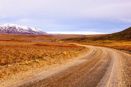 Icelandic landscape with volcanic rocks and green grassの写真素材