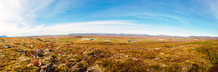 Icelandic landscape with volcanic rocks and green grassの写真素材