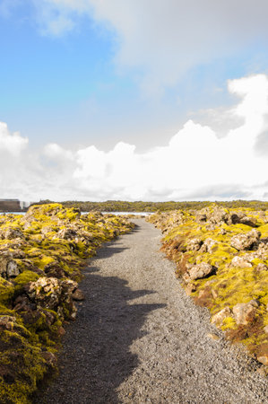 Blue Lagoon - famous Icelandic spa and Geothermal Power plant (panoramic picture)の写真素材
