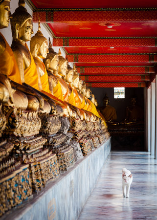 Wat Pho, the Temple of the Reclining Buddha in Bangkok, Thailandのeditorial素材