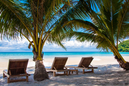 Sunbeds on exotic tropical palm beachの写真素材