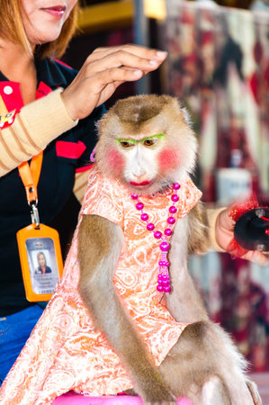 Ratchaburi, Thailand - May 24, 2014: Monkey show at Damnoen Saduak Floating Market, Thailand.Monkey theatre has long been performed in Thailand at local fairs or held at temples during religious ceremonies.のeditorial素材