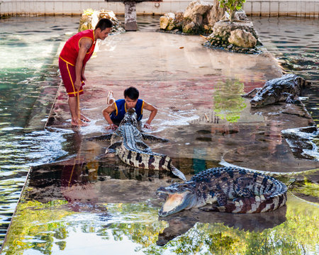 Nakhon Pathom, Thailand - May 24, 2014: Crocodile show at Samphran Crocodile Farm on May 24, 2014 in Nakhon Pathom,Thailand. The farm of more than 10,000 crocodiles is acclaimed to have one of the cleanest and most impressive public crocodile displays in のeditorial素材