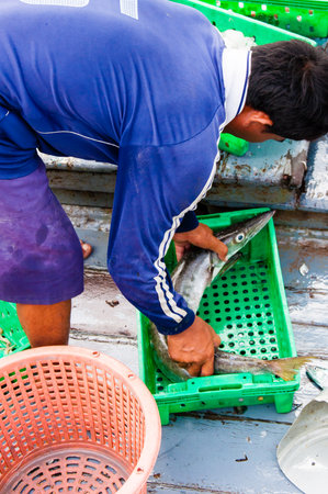Koh Kood Island, Thailand - May 31, 2014: Thai fishermen sorting day capture at View of Baan AoYai Salad port and fishing village on Koh Kood Island, Thailand.Fishing is the main occupation and income source on the islandのeditorial素材