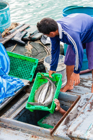 Koh Kood Island, Thailand - May 31, 2014: Thai fishermen sorting day capture at View of Baan AoYai Salad port and fishing village on Koh Kood Island, Thailand.Fishing is the main occupation and income source on the islandのeditorial素材