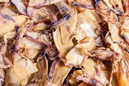 Close up on dried squid in the sunの写真素材