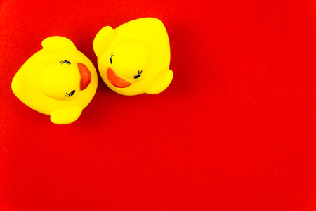 Pair of yellow rubber ducks isolated over colorful red background, love conceptの写真素材