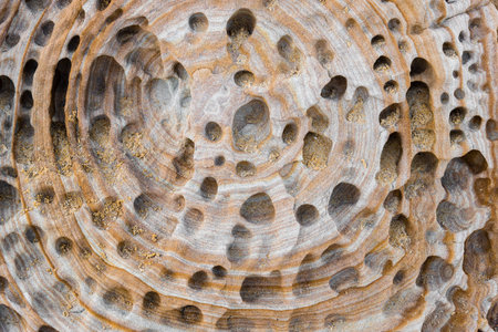 Australian rock formation background