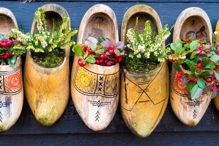Zaanse Schans, Netherlands - January 10, 2017: Row of old traditional handmade Dutch wooden clogs with blooming flowers in Zaanse Schans village near Amsterdam, Netherlands.のeditorial素材
