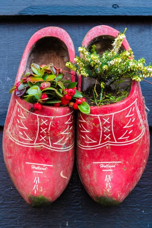 Zaanse Schans, Netherlands - January 10, 2017: Old traditional handmade Dutch wooden clogs with blooming flowers in Zaanse Schans village near Amsterdam, Netherlands.のeditorial素材